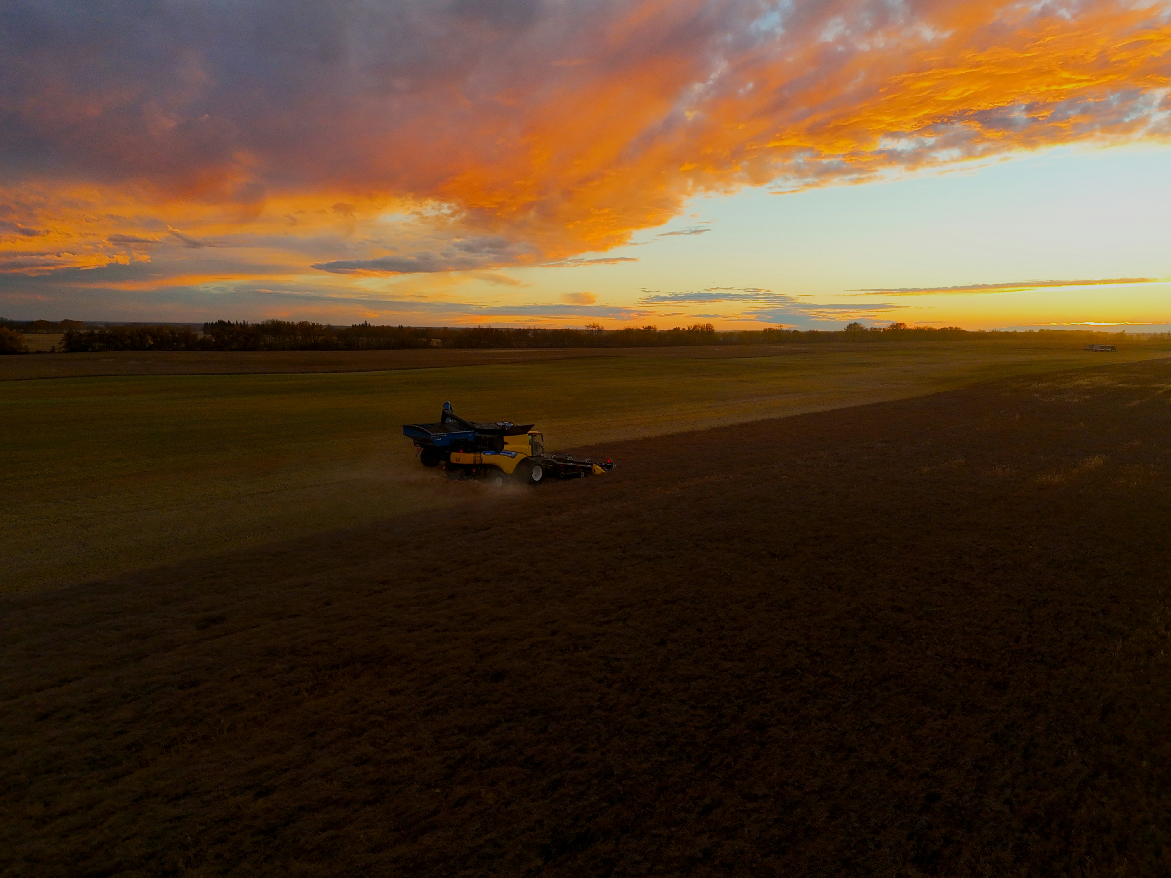 Agricultural field at sunset representing responsible farming